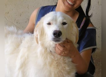 Kandie - Allein im Grau