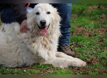 Alida - Unter dem Mantel der Verwahrlosung
