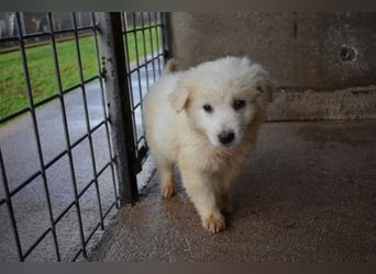 Calira - Weiß jemand, was aufpassen eigentlich heißt?