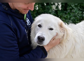 Garth - Kannst du machen, dass es nicht so lange dauert?