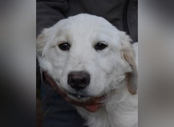 Stobin - So jung und so chancenlos ...