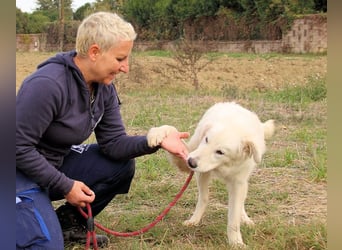 Garth - Kannst du machen, dass es nicht so lange dauert?