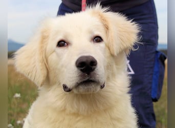 Garth - Kannst du machen, dass es nicht so lange dauert?