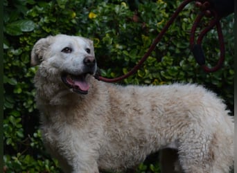 Generosa - Ein Adler bleibt ein Adler...