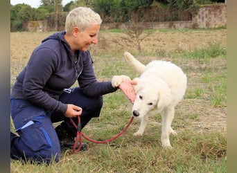 Garth - Kannst du machen, dass es nicht so lange dauert?