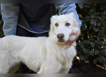 Thulin - Eigentlich ist ja alles da...