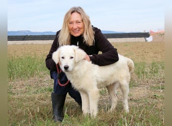 Garth - Kannst du machen, dass es nicht so lange dauert?