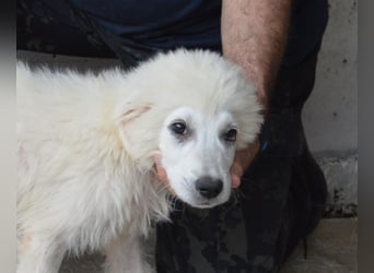 Garth - Kannst du machen, dass es nicht so lange dauert?