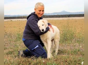 Garth - Kannst du machen, dass es nicht so lange dauert?