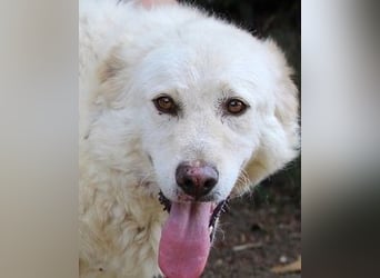 Fyona - Hell wie das Licht