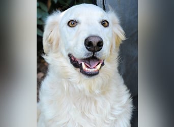 Hadeus - Wovon träumst du?