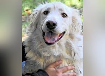 Hadeus - Wovon träumst du?