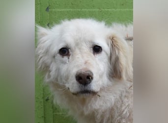 Graciela - NOTFALL - Was hatte sie schon...