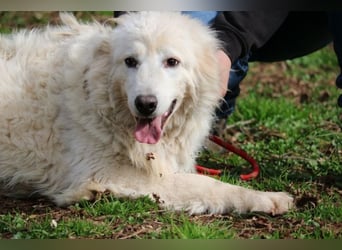 Alida - Unter dem Mantel der Verwahrlosung