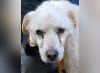 Talete - NOTFALL - Wenn man ehrlich ist