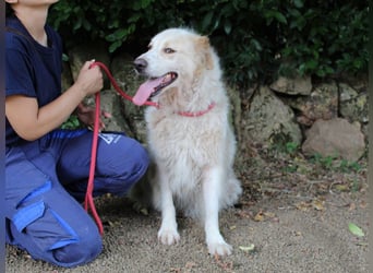 Papak - Nutze den Tag!