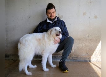 Wania - Zur falschen Zeit am falschen Ort...