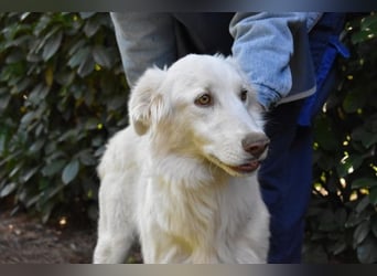 Thulin - Eigentlich ist ja alles da...