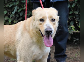 Admeto - Nur ein Wunsch: endlich nach Hause!