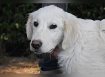 Syrio - So jung und so chancenlos ..