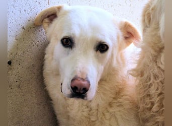 Vitale - "Komm, trau dich! Du kannst das!"