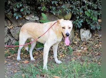 Admeto - Nur ein Wunsch: endlich nach Hause!