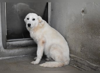 Ryther - Für diese traurige Geschicht...