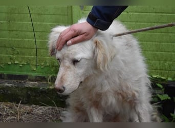 Graciela - NOTFALL- Was hatte sie schon...