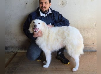 Wania - Zur falschen Zeit am falschen Ort...