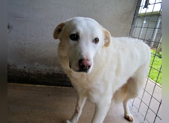 Vitale - "Komm, trau dich! Du kannst das!"