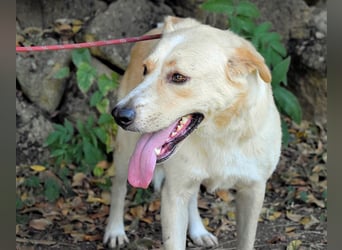 Admeto - Nur ein Wunsch: endlich nach Hause!