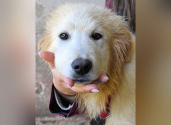 Cairox - SOS - Weiß jemand, was aufpassen eigentlich heißt?