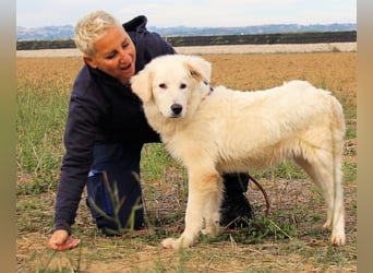 Garth - Kannst du machen, dass es nicht so lange dauert?