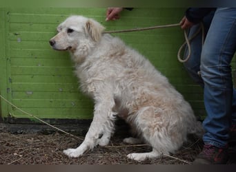 Graciela - NOTFALL - Was hatte sie schon...