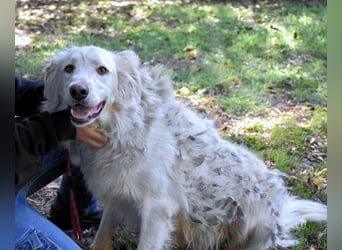 Hadeus - Wovon träumst du?