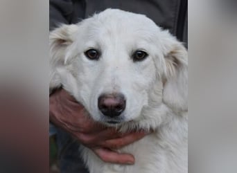 Solitelle - So jung und so chancenlos ...