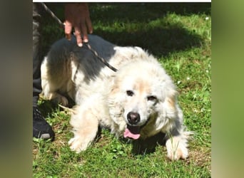 Alida - Unter dem Mantel der Verwahrlosung