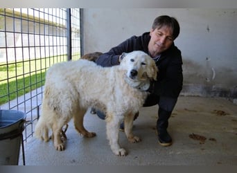 Imeria - Vielleicht bin ich dein leises Ja?