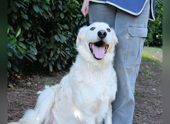 Hadeus - Wovon träumst du?