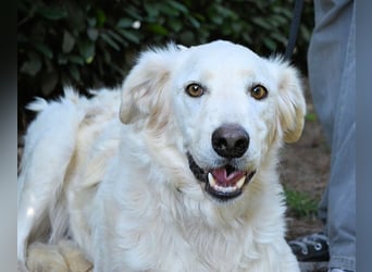 Hadeus - Wovon träumst du?