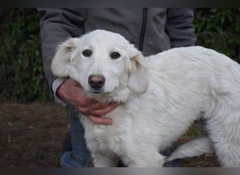 Solitelle - So jung und so chancenlos ...