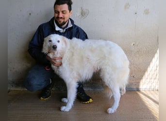 Wania - Zur falschen Zeit am falschen Ort...