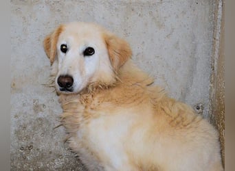 Frieder - Gibt es ein Leben jenseits von Schmerz und Einsamkeit?