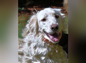 Hadeus - Wovon träumst du?