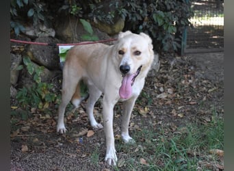 Admeto - Nur ein Wunsch: endlich nach Hause!