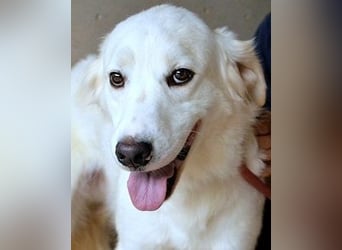 Habriel - weiß, es wird einmal ein Wunder gescheh'n