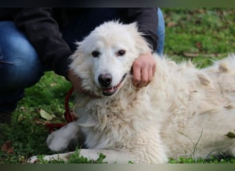 Alida - Unter dem Mantel der Verwahrlosung