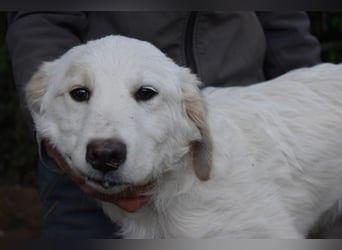 Stobin - So jung und so chancenlos ...