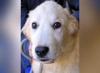 Cilwen - SOS - Weiß jemand, was aufpassen eigentlich heißt ?