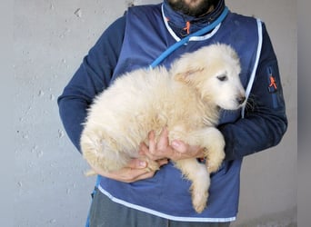 Clyro - SOS - Weiß jemand, was aufpassen eigentlich heißt ?